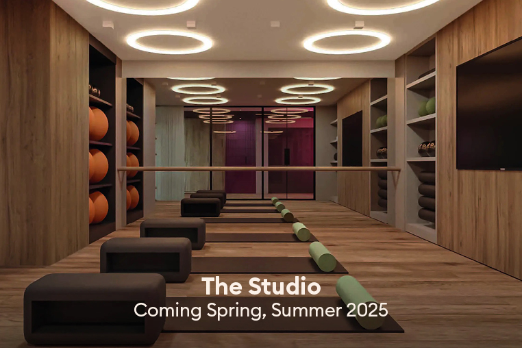 The Studio